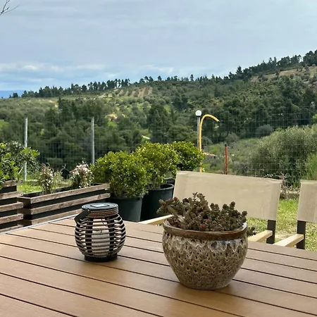 Alexandra's Garden