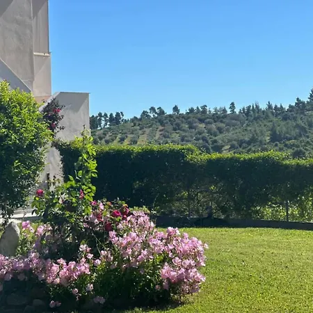 Alexandra's Garden * Παλιούρι