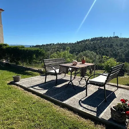 Alexandra's Garden