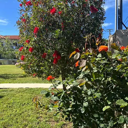 Alexandra's Garden Διαμέρισμα Παλιούρι