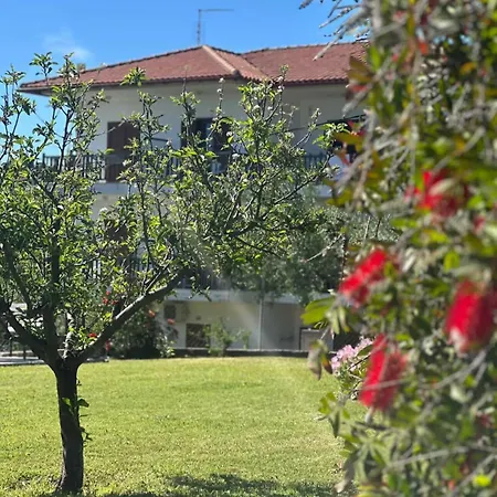 Alexandra's Garden Παλιούρι
