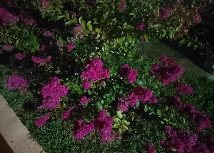 Апартаменты Alexandra's Garden *