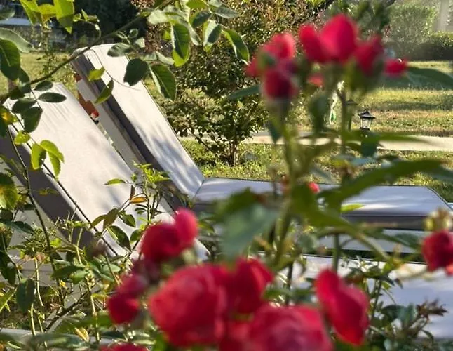 Alexandra's Garden * Палиури