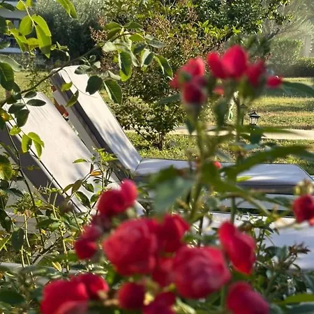 Alexandra's Garden * Paliouri