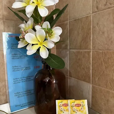 아파트 Alexandra's Garden 팔리오우리